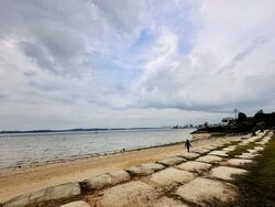 The Shorefront (D17), Apartment #542718251